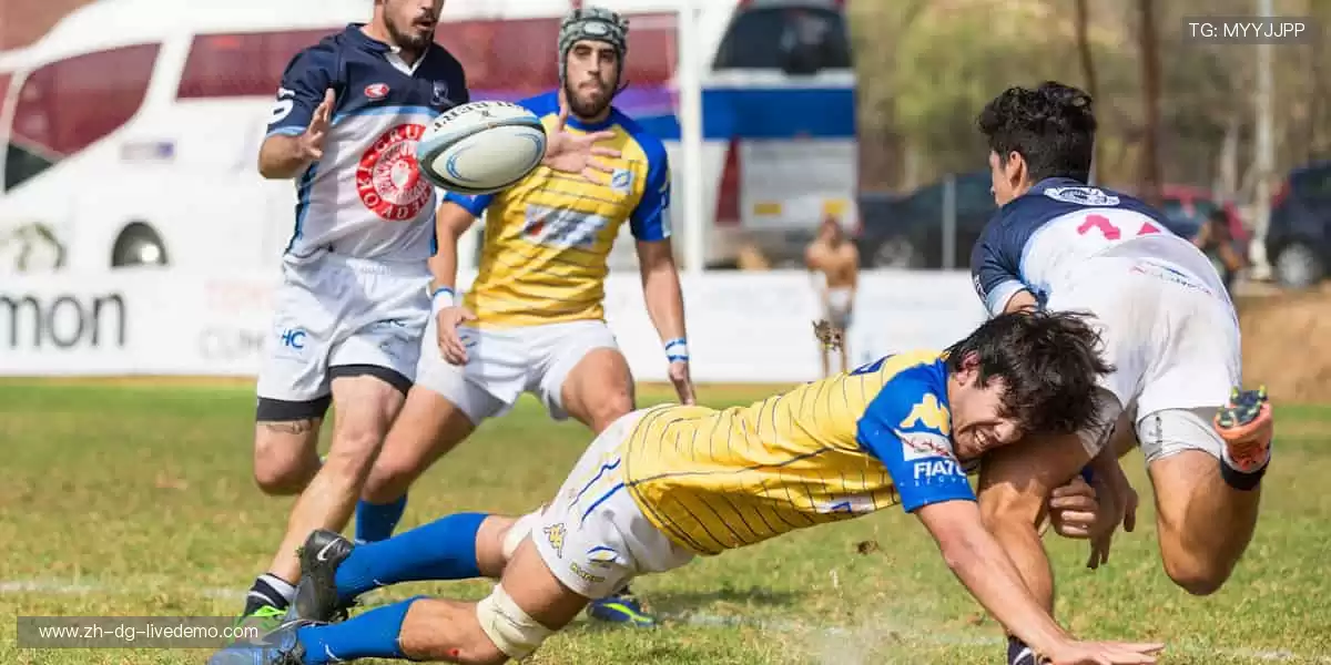 ⚽️ 赛事盛宴,激情永不落幕!